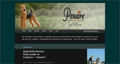 Desktop Screenshot of penaire.com